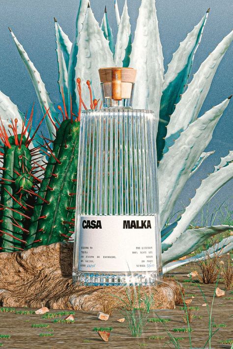 Tequila Bottles, Print Collateral, Agaves, Bacardi, Design Graphique, Bottle Design, Brand Packaging, Creative Director, Tequila