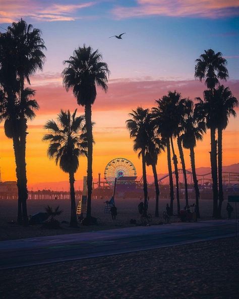 La Life, Beach Santa, Santa Monica Beach, Santa Monica California, Santa Monica Pier, Pretty Landscapes, Sun Art, Amazing Pics, California Beach