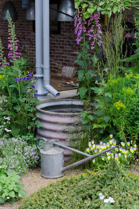 The Best Ideas from the 2023 RHS Chelsea Flower Show – Frederic Magazine Chelsea Garden Show, Rhs Chelsea Flower Show 2023, Chelsea Flower Show Gardens, Chelsea Flower Show 2023, Garden Mulch, Chelsea Garden, Water Collection, Cottage Exterior, Desert Garden