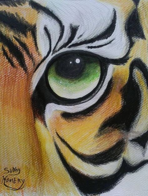 Tiger Eye Drawing, Regard Animal, Tiger Drawing, Drawing Eye, Eye Of The Tiger, Animal Illustration Art, Tiger Painting, Animal Drawings Sketches, Drawing Eyes