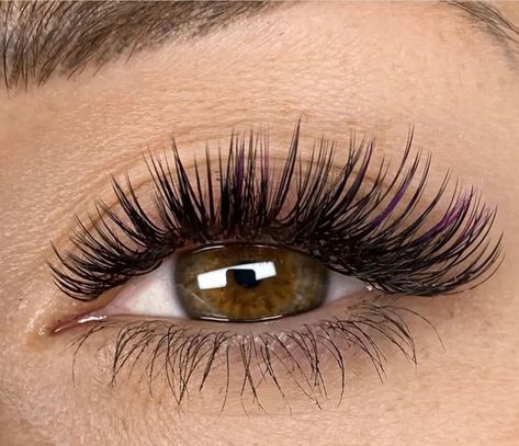 Squirrel Lash Extensions, 2d Lashes, Long Thick Eyelashes, Lashes Fake Eyelashes, Girl Things, Longer Eyelashes, Fake Eyelashes, Eyelash Extensions, Makeup Ideas