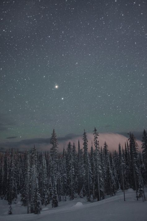 Winter Sky, Adventure Camping, Winter Night, Beautiful Sky, Heaven On Earth, Nature Travel, Night Sky, Night Skies, The Mountain