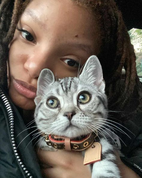 Halle Bailey Aesthetic Icon, Halle Bailey Cute, Halle Bailey Aesthetic, Chloe And Halle, Chloe X Halle, Halle Bailey, Black Person, Cat Names, Halle