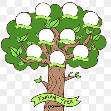 tree clipart,genealogy tree,green,hang photo,family tree,tree,vector,hand painted,round,greenery,genealogy,familia Family Tree Graphic, Family Tree Clipart, Genealogy Tree, Family Tree Painting, Family Tree Designs, Tree Diagram, Technology Theme, Christmas Tree Background, The Giving Tree