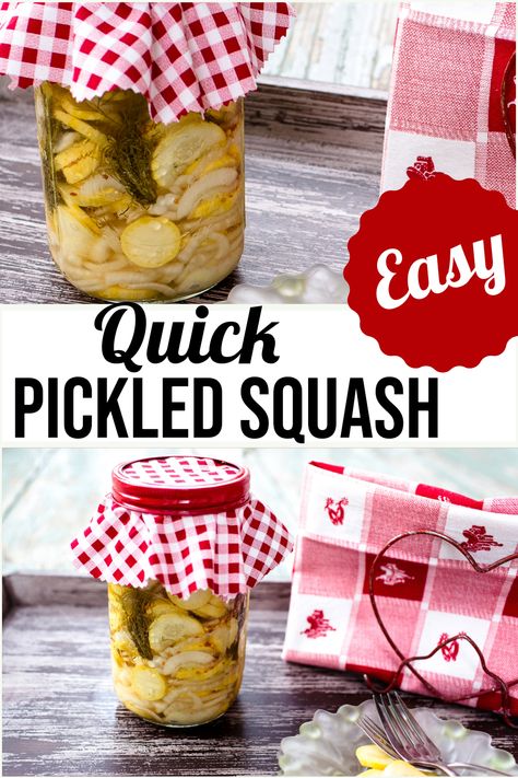 Pickled Summer Squash, Yellow Squash Pickles, Pickled Squash Recipe, Pickled Squash, Squash Pickles, Canned Squash, Pickled Apples, Crookneck Squash, Zucchini Pickles