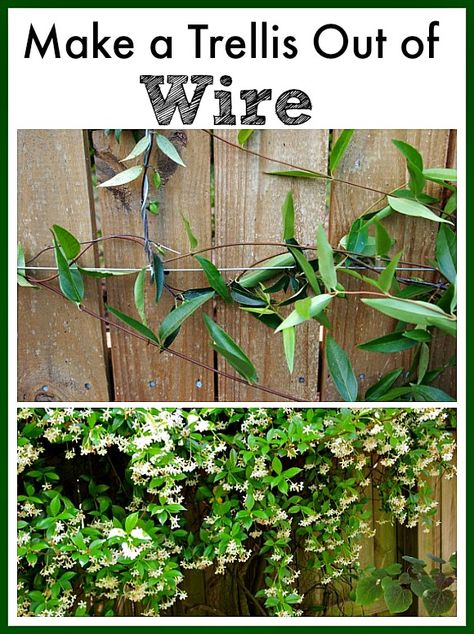 Make a trellis out of wire Diy Fence Trellis, Wire Trellis Ideas, Fence Trellis Ideas, Climbing Plant Support, Low Maintenance Garden Design, Wire Trellis, Trellis Fence, Flower Trellis, Diy Trellis