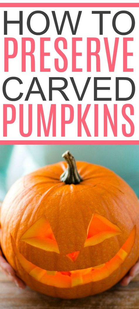 How To Preserve Carved Pumpkins, How To Preserve Pumpkins After Carving, How To Make Carved Pumpkins Last Longer, How To Keep Carved Pumpkins From Rotting, Preserving Carved Pumpkins, How To Preserve A Carved Pumpkin, How To Make A Carved Pumpkin Last Longer, Preserve Pumpkins For Outside, How To Carve A Pumpkin Easy