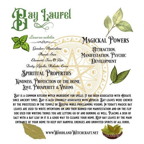 Bay Leaf Spiritual Meaning, Bay Laurel Tree, Burning Bay Leaves, Witchy Garden, Bay Laurel, Laurel Tree, Laurus Nobilis, Laurel Green, Magickal Herbs