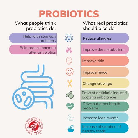 Probiotic Benefits, Probiotic Drinks, Natural Probiotics, Health Guru, Digestive Issues, Probiotic Foods, Silver Fern, Probiotics Supplement, Improve Mood