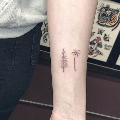 Pine & palm tree     #sanfranciscotattoo#losangelestattoo#singleneedle#finelinetattoo Moutain Tattoos, Small Nature Tattoo, Pine Tattoo, California Tattoo, Mother Nature Tattoos, Pine Tree Tattoo, Explore Tattoo, Inner Forearm, Palm Tree Tattoo