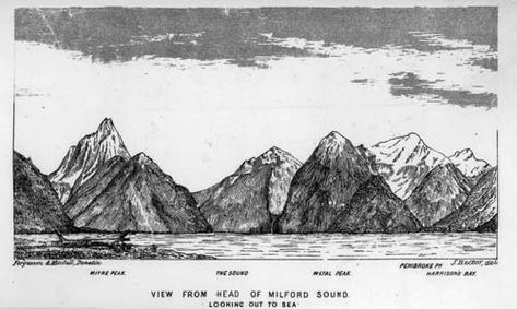 Milford Sound Bujo Themes, New Zealand Tattoo, Design Tattoos, New Zealand Landscape, Landscape Sketch, Milford Sound, The Sound, Paper Goods, Packaging Design