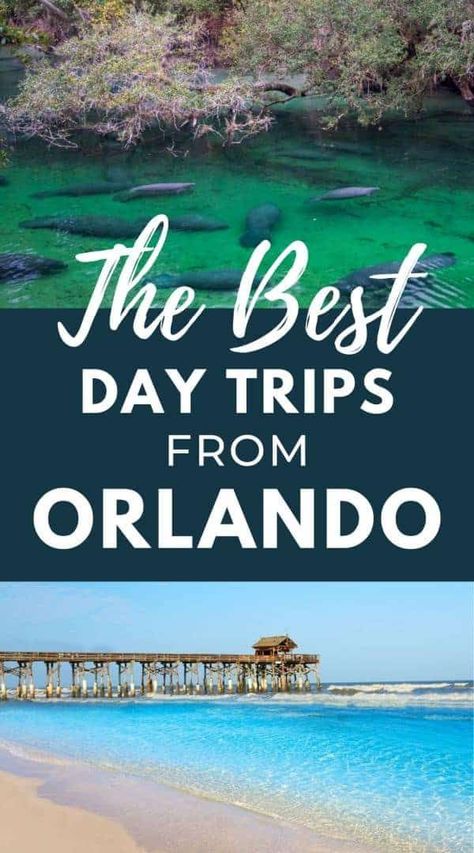 These best day trips from Orlando will help you explore more of Florida on your Florida vacation. From beaches and springs to city breaks and state parks, there’s plenty of adventure close by and more to Florida than theme parks. Whether you want to spend a day in nature or take in some culture, there is something here that will appeal to all tastes. | florida travel destinations | day trips from orlando florida | florida places to visit | best day trips from orlando | things to do near orlando Orlando Florida Vacation, Legoland Florida, Visit Orlando, Orlando Travel, Orlando Vacation, Family Trips, Visit Florida, Voyage Europe, Florida Vacation