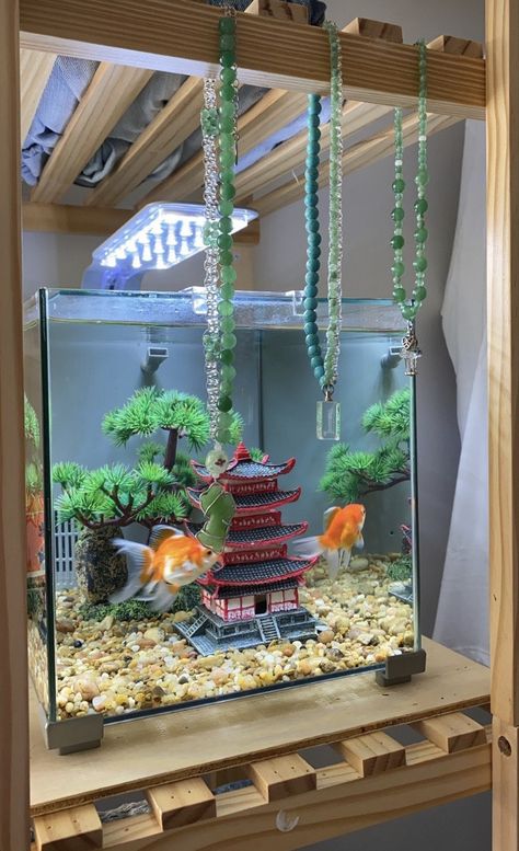 Fish Tank Ideas For Goldfish, Beautiful Goldfish Aquarium, Cute Goldfish Tank, Aquarium In Apartment, Aquarium Aesthetic Home, Goldfish Tank Decoration, Aquariums In Homes, Goldfish Tank Aesthetic, Aquarium In Bedroom