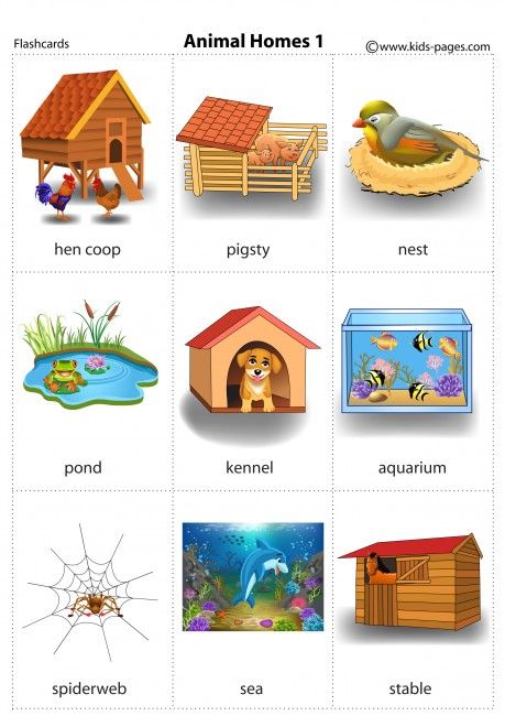 Animal Homes 1 flashcard Animals House Preschool, Homes Of Animals, Animal Habitats Preschool, Animals And Their Homes, Animal Homes, Hen Coop, Animals Name In English, Animal Activities For Kids, House Printable