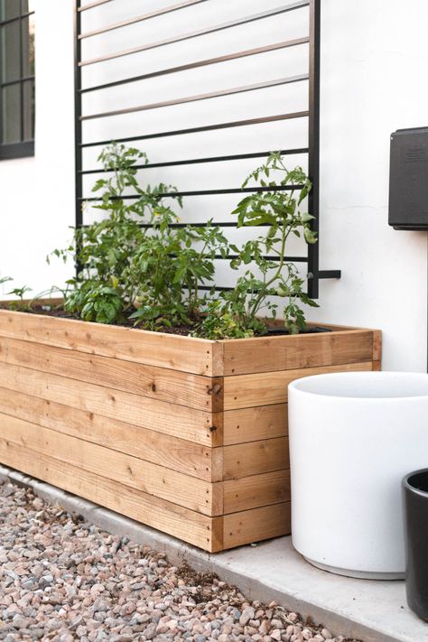 Above ground cedar planter Diy Raised Beds Garden, Planter Boxes Backyard, Garden Boxes Around Deck, Diy Cedar Garden Boxes, Cedar Plank Planter Boxes, Diy Tree Planter Boxes, Build A Planter Box Easy Diy Wood, Large Cedar Planter Boxes, Garden Box Front Yard