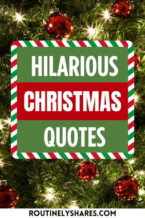 The words hilarious Christmas quotes Christmas Movie Sayings Favorite Quotes, Single On Christmas Quotes, The Day After Christmas Humor, Christmas Is Over Quotes Funny, Holiday Funny Humor, Ready For Christmas Quotes Funny, Christmas Present Quotes Funny, Hilarious Christmas Quotes, Christmas Funny Quotes Humor