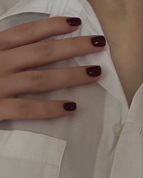 Dark Red Nails Gel Short, Dark Red Painted Nails, Dark Wine Nails Short, Dark Cherry Red Nails Short, Red Short Nails Aesthetic, Dark Academia Short Nails, Grunge Nail Colors, Short Nail Designs Dark Red, Nail Paint For Short Nails