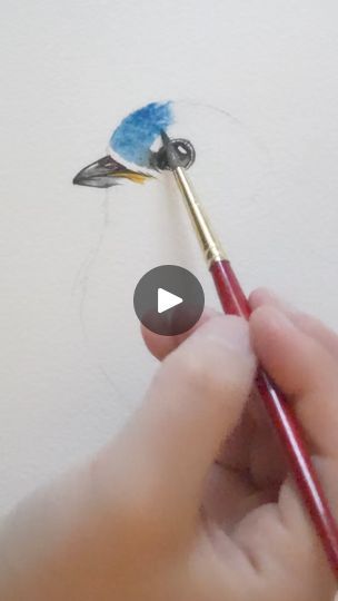 31K views · 962 reactions | Eastern Bluebird
Original available in my shop | Painted Wing | Painted Wing · Original audio Watercolor Birds Tutorial, Bluebird Painting, Eastern Bluebird, Watercolor Tips, Diy Creative Crafts, Watercolor Art Lessons, Painting Lessons, Diy Creative, Watercolor Bird