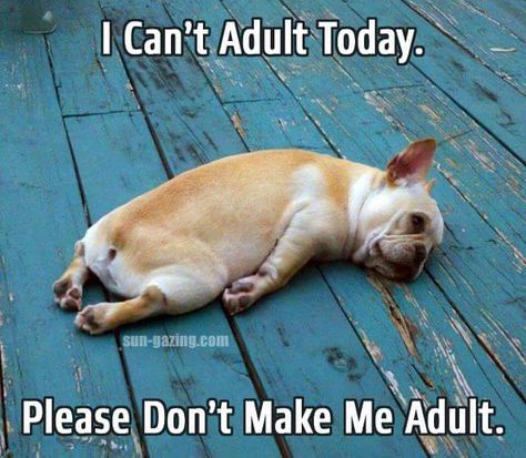 i don't want to adult | And then my 30th Birthday!! Funny Pregnancy Memes, Pregnancy Memes, Bulldog Francese, Funny Girl, Pregnancy Humor, Memes Humor, Leg Day, E Card, Funny Animal Pictures