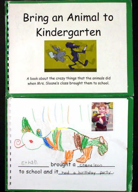 Kindergarten Class Book Ideas, Stuffed Animal Day At School, Preschool Stuffed Animal Day Activities, Stuffed Animal Day At School Activities, Kindergarten Class Books To Make, Bring A Stuffed Animal To School Day, Class Pet Stuffed Animal Kindergarten, What Do Animals Need Kindergarten, Pets Writing Center Preschool