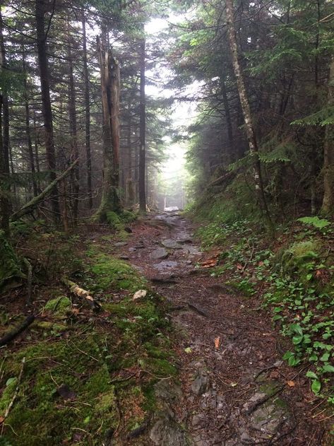 The Lost Girl of Vermont’s ‘Bennington Triangle’ Bennington College, Bennington Vermont, Long Trail, Fall River, Lost Girl, Read Later, State Police, College Student, Vermont