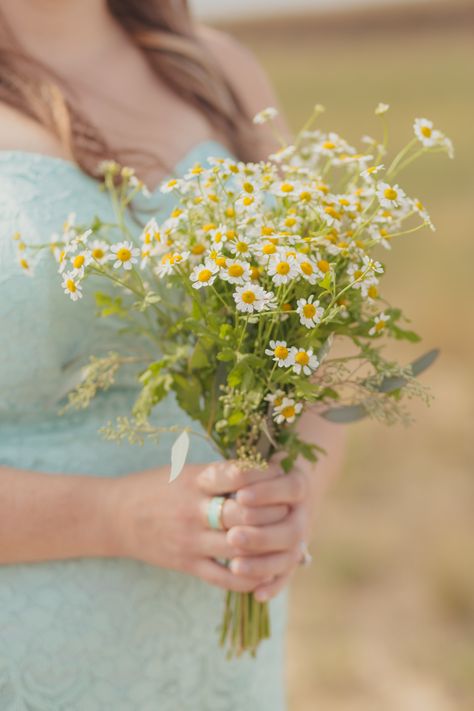 Flowers by Lace and Lilies, Fever Few Bridesmaids Bouquets Feverfew Bouquet, Fever Few, Flower Medicine, Erin Taylor, Individual Flowers, Flower Wedding Bouquet, Filler Flowers, Flower Types, Flower Varieties