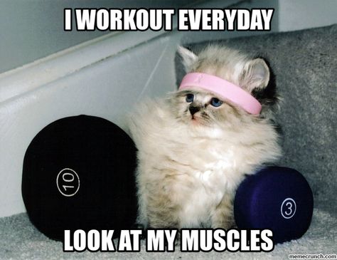 31 Workout and Exercise Memes memes fitness workout exercise workout memes exercise memes fitness memes House Of Pain, Dog Mess, Fitness Memes, Workout Memes, Gym Humor, Cat Costumes, I Work Out, Trx, Crazy Cat Lady