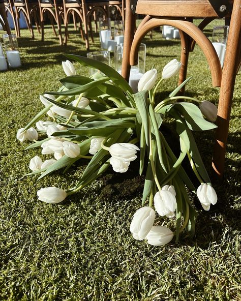 The tulip mound 🌷🌿 I personally LOVE a droopy tulip but I know others have a very different opinion 😂 How do you feel about them? #riverbank #riverbankestate @riverbankestate_weddings #swanvalley #swanvalleywedding #tulips Tulip Wedding Centerpieces, Wedding Tulips, Tulips Wedding, White Tulip Bouquet, Tulip Wedding, Tulip Bouquet, Wedding 2025, White Tulips, Coast Wedding