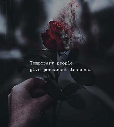 Quotes About Attitude, Temporary People, Quotes About Moving On, Heartfelt Quotes, Reality Quotes, Attitude Quotes, Thoughts Quotes, Meaningful Quotes, The Words