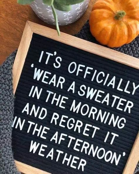 Letterboard Signs, Message Board Quotes, Thanksgiving Messages, Felt Letter Board, Word Board, Felt Letters, Autumn Quotes, Quote Board, Felt Board