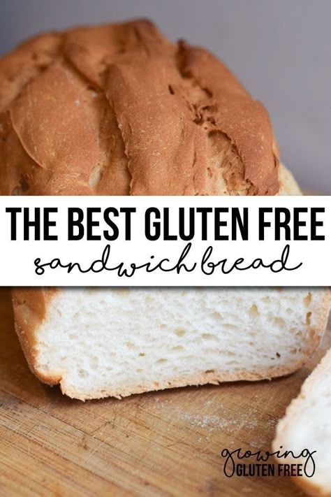 Gluten Free Sandwich, Gluten Free Sandwich Bread, Best Gluten Free Bread, Gluten Free Sandwiches, Pain Sans Gluten, Sandwich Bread Recipes, Gluten Free Recipes Bread, Best Gluten Free, Gluten Free Eating