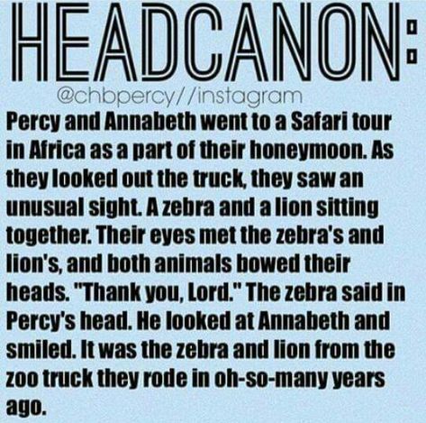 Percabeth Headcanon, Percy Jackson Annabeth Chase, Head Cannons, Percy Jackson Ships, Rick Riordan Series, Percy Jackson Head Canon, Pjo Hoo, Percy And Annabeth, Seaweed Brain