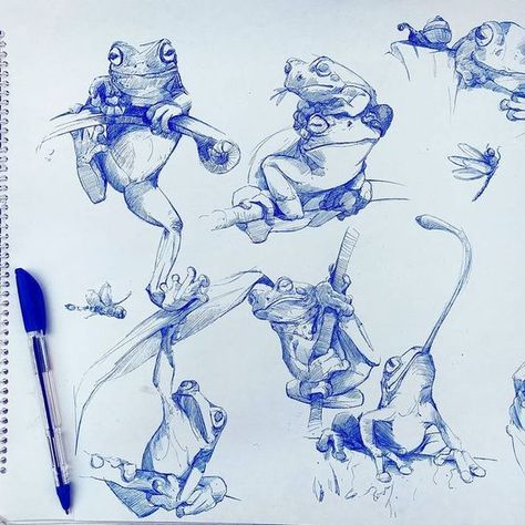 Frog Sketch, Trippy Drawings, Frog Illustration, Frog Drawing, Graphic Novel Art, Animal Doodles, Cartoon Sketches, Creature Drawings, Art Theme