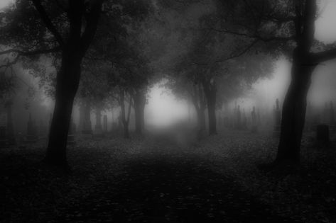 dark landscape Dark Desktop Backgrounds, Evil Background, Spooky Background, Scary Backgrounds, Scary Photos, Creepy Backgrounds, Dark Evil, Wallpapers Ipad, Dark Landscape