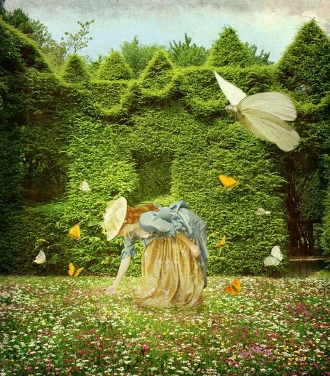 Bliss Flower Garden Illustration, Petals In The Wind, Wind Flower, Garden Illustration, Visual Learning, Deviant Art, Gardening Advice, Kids Book, Wish You The Best