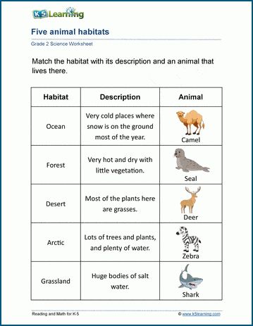 Animals worksheets - reviewing how animals live, what they eat, their habitats and adaptations, their anatomy, coverings and classification and their life cycles. Free | Printable | Grade 2 | Science | Worksheets Animals And Habitats, Animals Habitat, Animal Habitat, 2nd Grade Science, Grade 2 Science Worksheets, Animals And Their Habitats, Habitat Worksheet, Animal Habitat Worksheet, Animals In Their Habitat