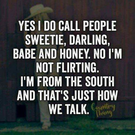 Southern Talk, Southern Words, Southern Girl Quotes, Southern Belle Secrets, Southern Slang, Southern Humor, Southern Things, Southern Pride, Southern Sayings