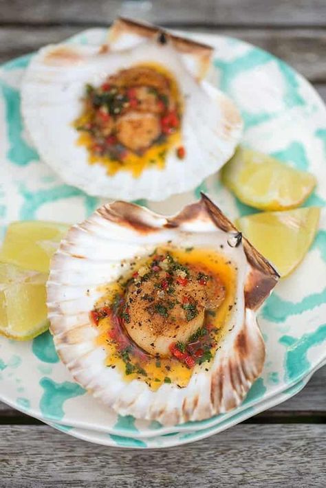 You only need a handful of ingredients to make pan-fried scallops! Serve with the spiced herby butter sauce on their half shell and prepare to impress. Seafood Lunch, How To Cook Scallops, Seafood Dish Recipes, Baked Scallops, Grilled Oysters, Stuffed Shells Recipe, Shellfish Recipes, Scallop Recipes, Lobster Recipes