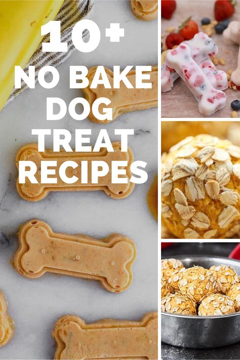 10 Homemade No Bake Dog Treats To Make Your Pup Drool Easy Homemade Pet Treats, Diy No Bake Dog Treats, Dog Treat Recipes No Bake, Simple Dog Treats No Bake, Non Bake Dog Treats, Homemade Dog Treats Using Molds, Dog Safe Desserts, No Bake Dog Treat Recipes, Homemade No Bake Dog Treats