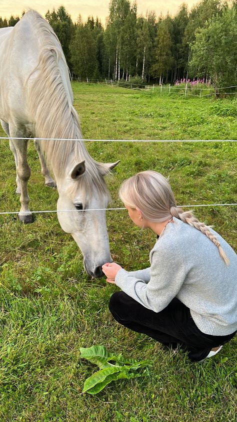 #summer #horse #blonde #girl #wallpaper #instagram #aesthetic #fashion #sweden #scandinavia #scandi #summerhouse #landet #farmhouse #animals #braids Blonde Horse Aesthetic, Horse Summer Aesthetic, Karlina Core, Sophie Foster Aesthetic, Blonde Equestrian, Alina Core, Farm Girl Aesthetic, Blonde Horse, Pony Aesthetic