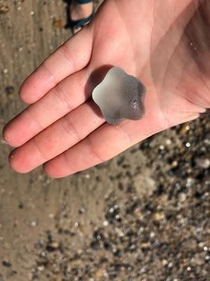 I've heard of sea glass marbles, but I found what was obviously a star? Every heard of this? I feel like it's a rare find, and am somewhat of an newbie Sea Glass Star, Seaglass Collection, Sea Stuff, Glass Rocks, Mermaid Tears, Sea Glass Beach, Beach Diy, Glass Stars, Sea Pottery