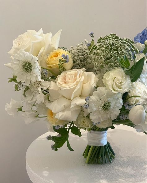 A moment for the bridal bouquet 🦢🩵✨🤍 Trader Joe, Bridal Bouquet, In This Moment, Flowers