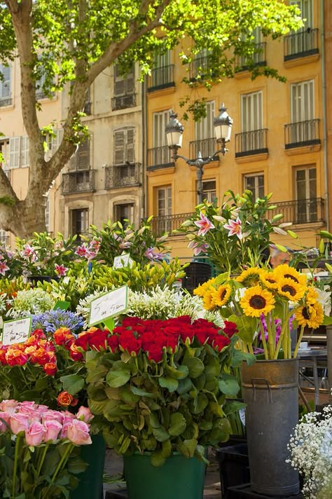 Provence, France. Follow us @SIGNATUREBRIDE on Twitter and on FACEBOOK @ SIGNATURE BRIDE MAGAZINE Aix En Provence France, Potted Flowers, Market Day, Flowers For Sale, Provence France, French Countryside, Flower Market, Oh The Places Youll Go, France Travel