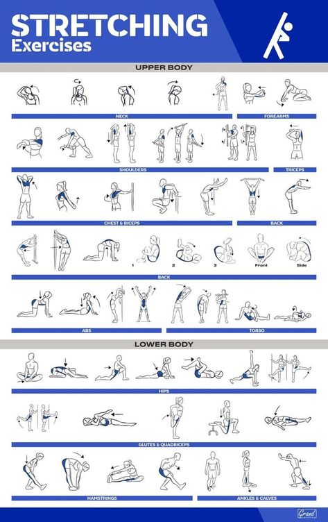 Poster Exercise, Exercise Chart, Fitness Poster, Stretching Exercise, Gym Antrenmanları, Trx Workouts, Home Gym Exercises, Gym Poster, Gym Workout Chart