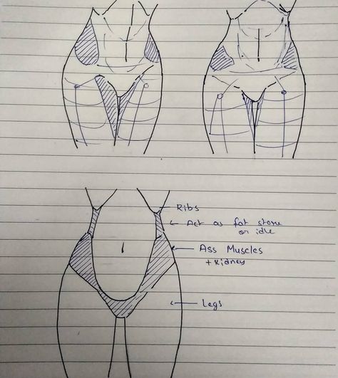 Draw Hips, Thighs Drawing, Art Improvement, Game Environment, Body Anatomy, Easy Drawings Sketches, Gcse Art, Anatomy Drawing, Body Drawing