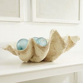 Seashell Bowl, Large Clam Shell, Large Sea Shells, Shell Centerpieces, Giant Clam Shell, California Beach House, Giant Clam, Shell Ideas, Young House