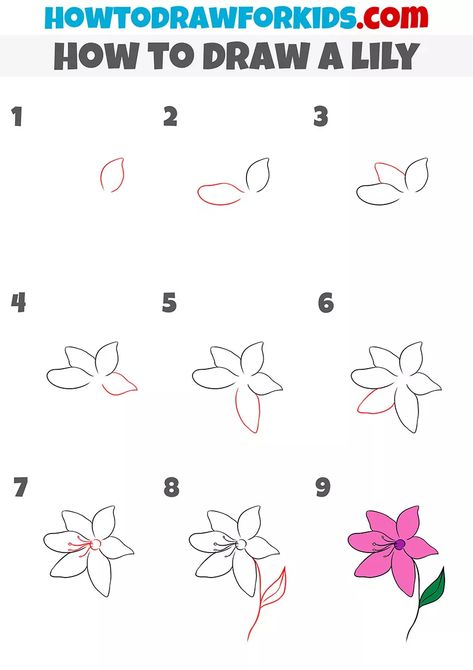 How To Draw A Water Lily Step By Step, Lily Simple Drawing, How To Draw A Lily Flower Step By Step, Lilys Drawings Easy, How To Draw A Tiger Lily Step By Step, Easy Flower Drawings Step By Step, How To Draw Flowers Step By Step, Flower Drawing Tutorial Step By Step, Hobonichi Journal