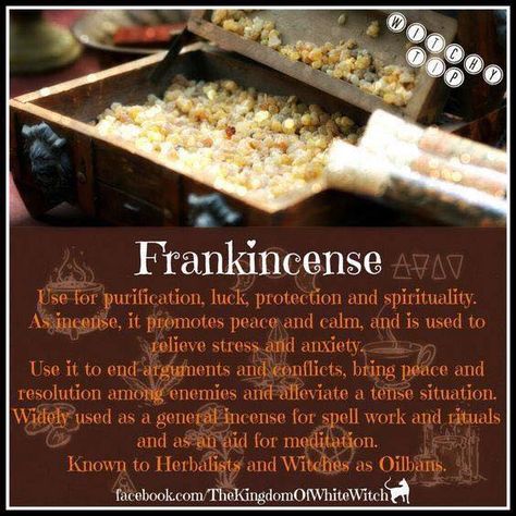 Properties of Frankincense Magickal Herbs, Witch Herbs, Magic Herbs, Witchy Tips, Magical Herbs, Kitchen Witchery, Essential Oils Herbs, Eclectic Witch, Herbs Plants