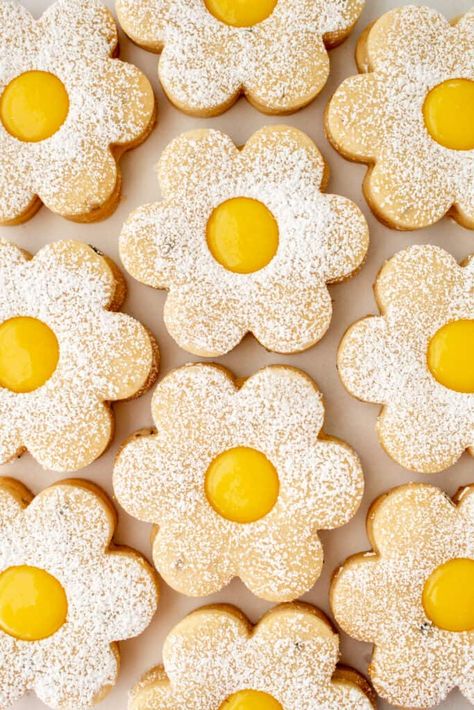 Meyer Lemon Curd, Lavender Shortbread Cookies, Lemon Meringue Cheesecake, Lavender Shortbread, Lemon Shortbread, Lemon Shortbread Cookies, Thanksgiving 2023, Lemon Curd Recipe, Lemon Curd Filling