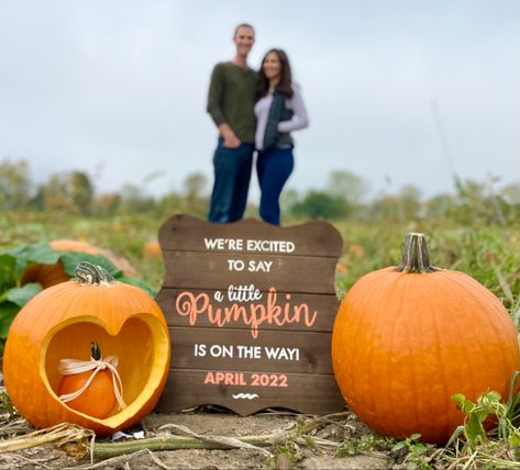 Pumpkin carving, announcement, pumpkin patch, a little pumpkin is on the way Baby Pumpkin Announcement, Pumpkin Baby Announcement With Sibling, Baby Announcement Pumpkin Patch, Pumpkin Patch Baby Announcement, Pumpkin Birth Announcement, Pumpkin Patch Maternity Pictures, Pumpkin Patch Pregnancy Pictures, Pumpkin Patch Announcement Pregnancy, A Little Pumpkin Is On The Way